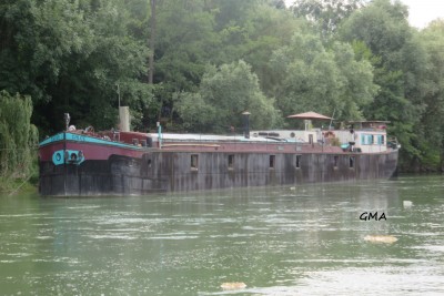 chloé-av.JPG (777.95 Kio) Vu 5694 fois chloé-av.JPG