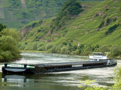 Bohmerwald-1-12-07-2016-St.Aldegund.jpg