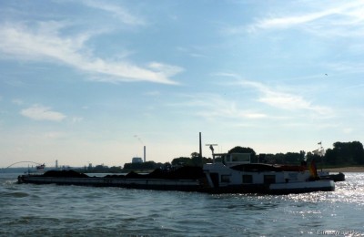 Heinrich-5-21-09-2015-d.jpg (50.85 Kio) Vu 1499 fois Heinrich-5-21-09-2015-d.jpg