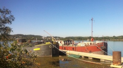 CHILOE et MON ANGE à Vallabrègues - août 2016.jpg