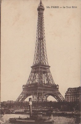 Rouge-Gorge - 2.jpg (109.54 Kio) Vu 5197 fois Rouge-Gorge - 2.jpg