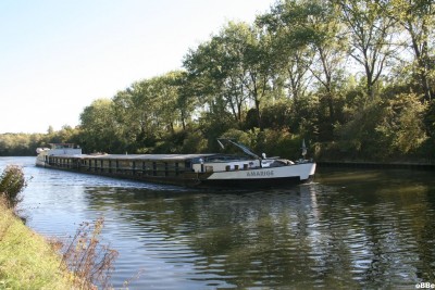 Amarige 02.jpg