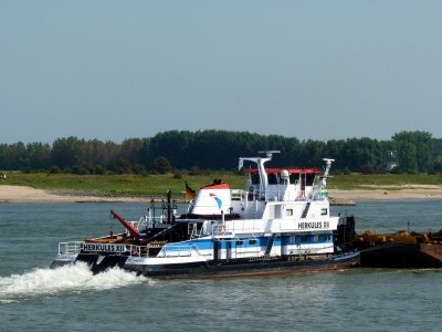 Herkules-XII-3-27-08-2016-Millingen.jpg (77.18 Kio) Vu 3021 fois Herkules-XII-3-27-08-2016-Millingen.jpg