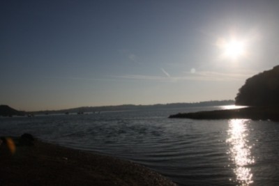 005.JPG (111.79 Kio) Vu 2528 fois 005.JPG