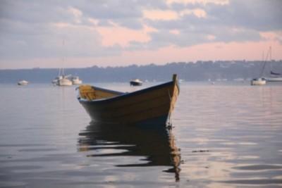 009.JPG (126.38 Kio) Vu 2525 fois 009.JPG