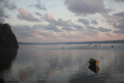 026.JPG (121.55 Kio) Vu 2528 fois 026.JPG