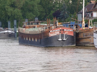 P6195506 (Copier).JPG (409.84 Kio) Vu 5087 fois P6195506 (Copier).JPG