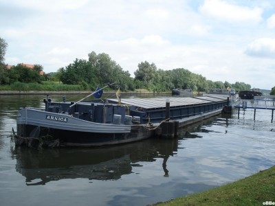 Arnica 08.JPG (120.88 Kio) Vu 1732 fois Arnica 08.JPG