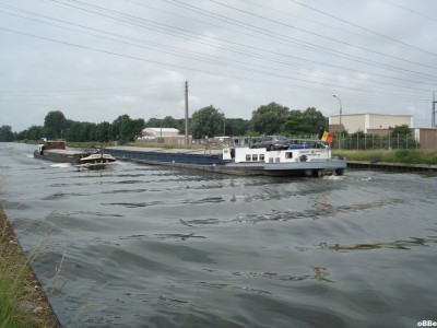 Arnica 05.JPG (121.61 Kio) Vu 1732 fois Arnica 05.JPG