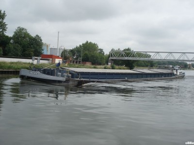 Arnica 03.JPG (102.28 Kio) Vu 1732 fois Arnica 03.JPG