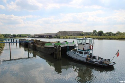 IMG_2431.JPG (108.75 Kio) Vu 1538 fois IMG_2431.JPG