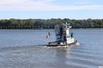 IMG_2329.JPG (134.09 Kio) Vu 1538 fois IMG_2329.JPG