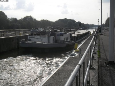 SAM_4927.JPG (150.58 Kio) Vu 1725 fois SAM_4927.JPG