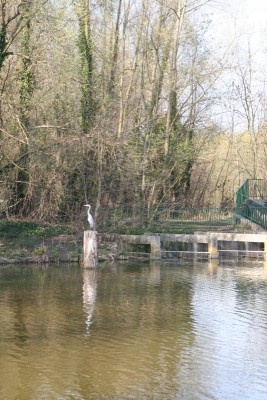 001.JPG (330.53 Kio) Vu 3387 fois 001.JPG