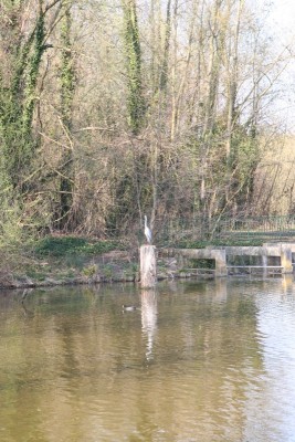 002.JPG (336.14 Kio) Vu 3387 fois 002.JPG