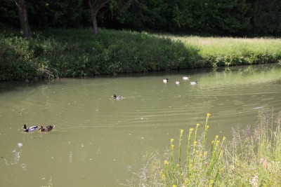 025.JPG (245.77 Kio) Vu 808 fois 025.JPG