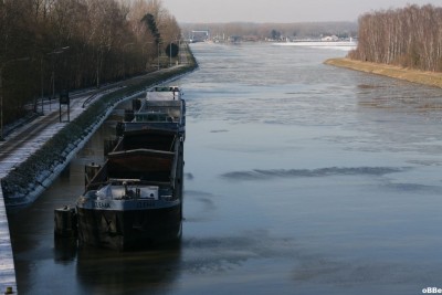 Clema 01.jpg