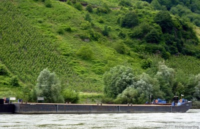 Edlena-Baris-1-Ed-28-9-30-06-2016.jpg
