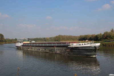 IMG_2808_1.JPG