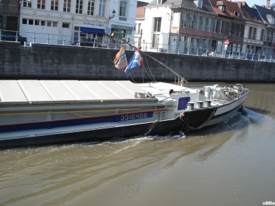 Fiducia 03.JPG
