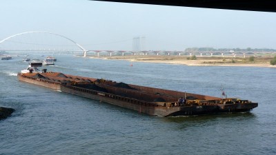 Patrijs-2-26-10-2016-Nijmegen (2).jpg