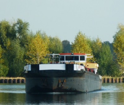 11.jpg (67.98 Kio) Vu 1303 fois 11.jpg