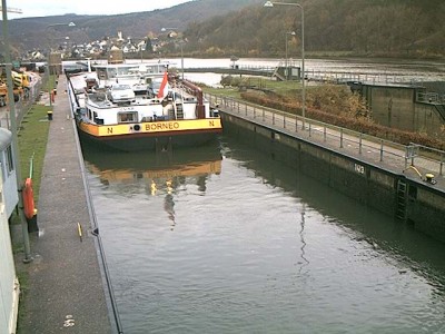 Moselle86.jpg