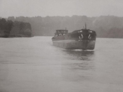 l'ami a st.mammes.jpg (36.09 Kio) Vu 3619 fois l'ami a st.mammes.jpg