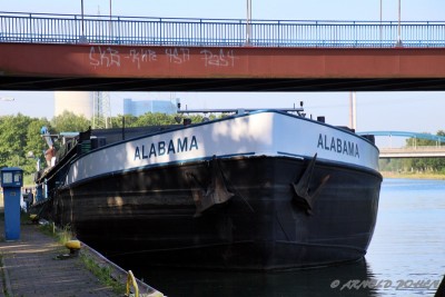 Alabama Bug.JPG