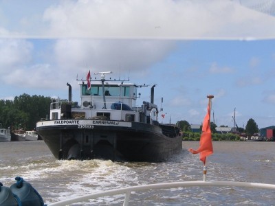 waldpoarte-1-23-06-2008.jpg (73.39 Kio) Vu 1420 fois waldpoarte-1-23-06-2008.jpg