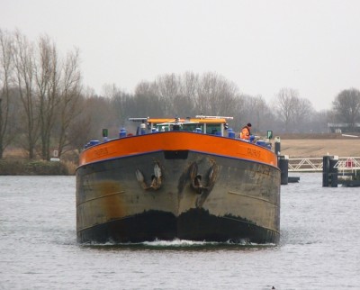 Taurus-4-12-01-2017-sluis-Lith (2).JPG