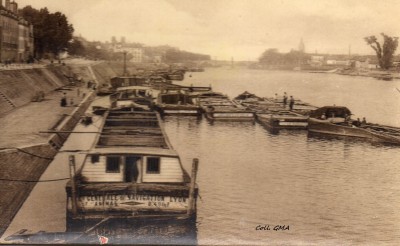 chalon-animal-CP-ll-88.jpg (356.05 Kio) Vu 1964 fois chalon-animal-CP-ll-88.jpg
