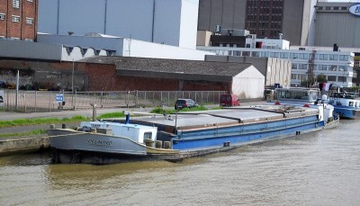 Celandro-1-07-05-2011-Theo-Tukker.JPG (326.79 Kio) Vu 1281 fois Celandro-1-07-05-2011-Theo-Tukker.JPG