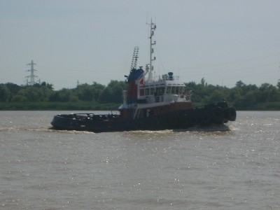 DSCN4767.JPG
