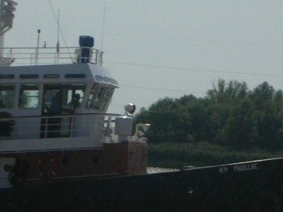 DSCN4774.JPG (102.31 Kio) Vu 1842 fois DSCN4774.JPG