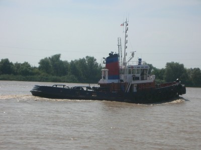 DSCN4775.JPG (117.06 Kio) Vu 1842 fois DSCN4775.JPG