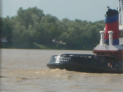 DSCN4778.JPG (117.74 Kio) Vu 1846 fois DSCN4778.JPG