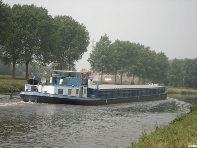 Filou 05.JPG (152.79 Kio) Vu 2139 fois Filou 05.JPG