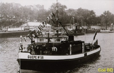 IMG_20170213_0004 GUEPE N°56 (Copier)#.jpg (102.76 Kio) Vu 1980 fois IMG_20170213_0004 GUEPE N°56 (Copier)#.jpg