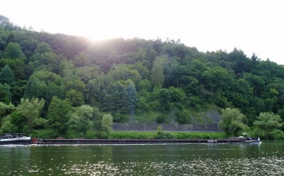 KVB-Inachos-en-2-4-10-07-2016-Traben-Trarbach (2).JPG (207.61 Kio) Vu 1971 fois KVB-Inachos-en-2-4-10-07-2016-Traben-Trarbach (2).JPG