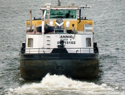 Annie-7-21-02-2017-sluis-Lith (2).JPG