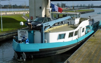 Koala-6-21-02-2017-sluis-Lith (2).JPG