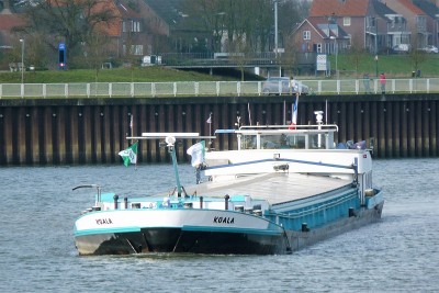 Koala-3-21-02-2017-sluis-Lith (2).JPG
