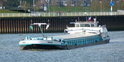 Koala-2-21-02-2017-sluis-Lith (2).JPG