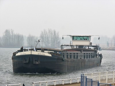 Shalona-1-08-02-2017-sluis-Lith (2).jpg