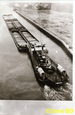 IMG_20170222_0031 FAUVETTE remorqueur SGNF (Copier).jpg (71.66 Kio) Vu 3031 fois IMG_20170222_0031 FAUVETTE remorqueur SGNF (Copier).jpg