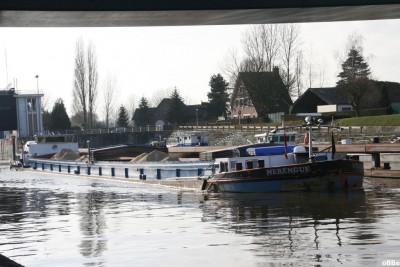 Merengue 01.jpg (144.63 Kio) Vu 2887 fois Merengue 01.jpg