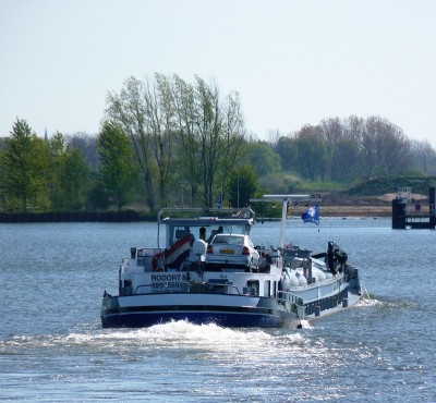 Rodort-8-8-05-05-2016 (2).JPG (277.74 Kio) Vu 1303 fois Rodort-8-8-05-05-2016 (2).JPG