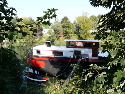 rosa-arrd.jpg (537.07 Kio) Vu 1588 fois rosa-arrd.jpg