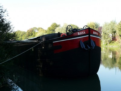 rosa-avrd.jpg (425.04 Kio) Vu 1588 fois rosa-avrd.jpg